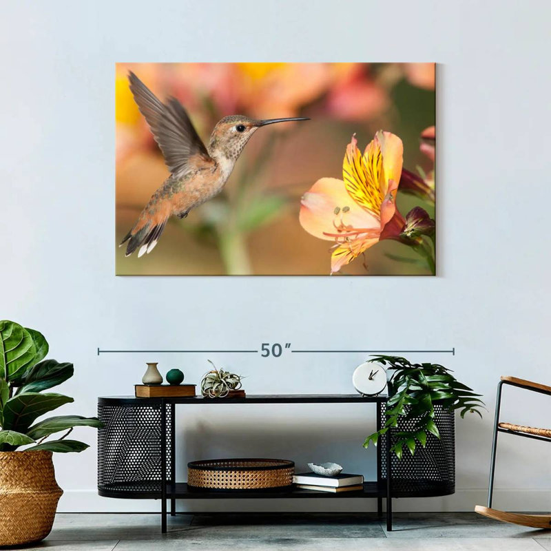 Brampt Charming Hummingbird, 30" H x 45" W