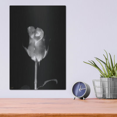 Luxe Metal Art Rose Xray 6 by Life BeautifuLEE Metal Wall Art 24 x 36