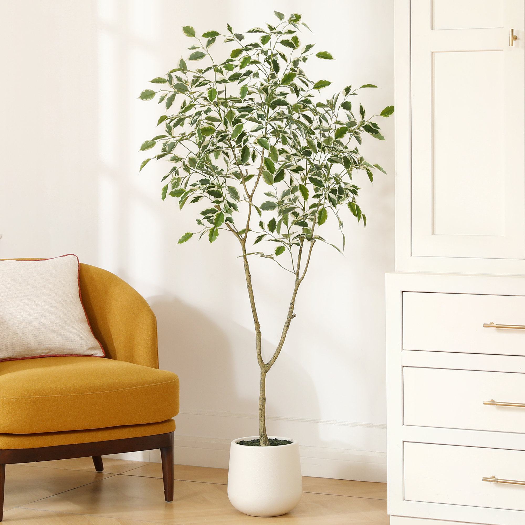 Adagio Faux Ficus Tree with Oval White Planter, Pre Potted Faux Greenry Plant with white side leaves, 60" H x 20" W x 20" D