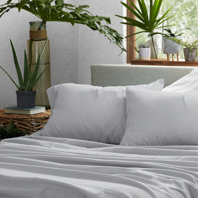 Light Gray Hypoallergenic Cotton Polyester Standard Pillowcase Set