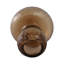 Petit champignon en verre 12 po Gaiah