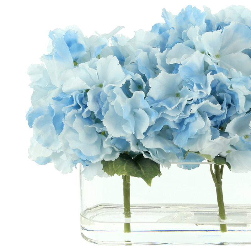 Hydrangeas Arranged in Clear Glass Vase, Blue