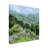 " Tree-lined Path II "-33063107
