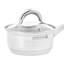 Stainless Steel Saucepan
