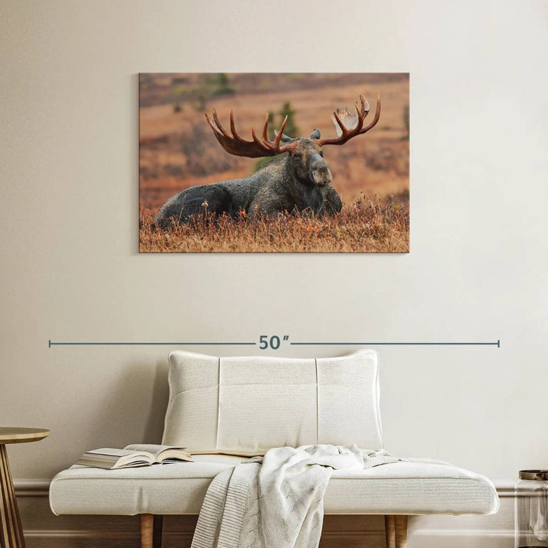 Brampt Summer Moose, 24" H x 36" W