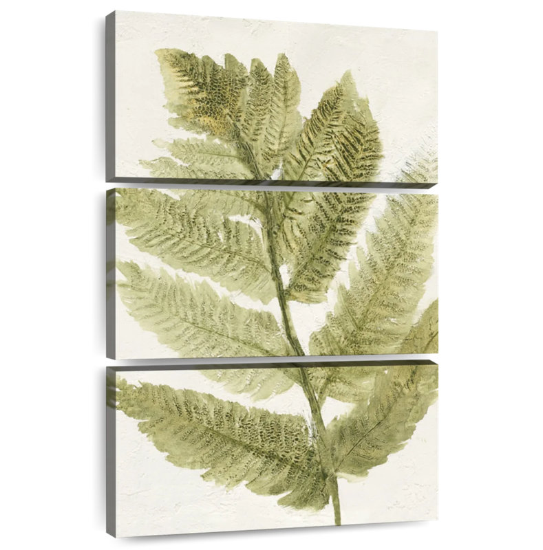 Harnek Forest Ferns III, H 50 po x l 32 po