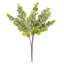 19 plantes-94734820