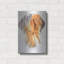 "Vizsla hongroise" par Barbara Keith-594243297