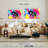 Shuttleworth Rainbow Gaze-111960007