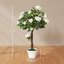 Charleston 90cm Plant-55937757