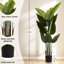 Banane de 5,2 pieds de hauteur, 2 pièces, pour l'intérieur et l'extérieur, 12 feuilles, taille 63, arbre tropical, plastique, décoration,
