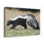 No Frame Print on Canvas-989246481