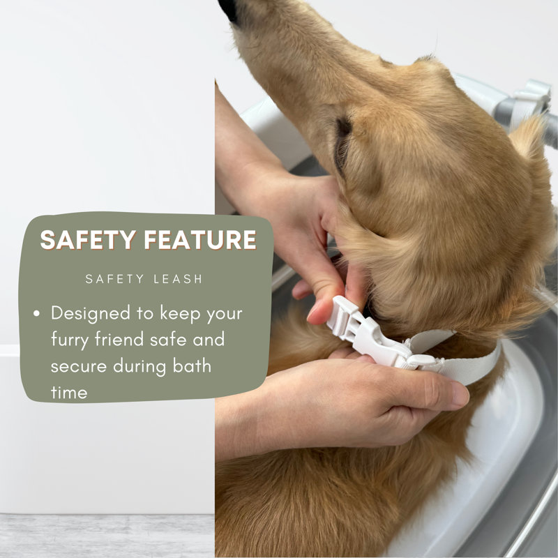 Baignoire pliable pour animaux de compagnie, station de lavage pliable pour petits et moyens chiens et chats