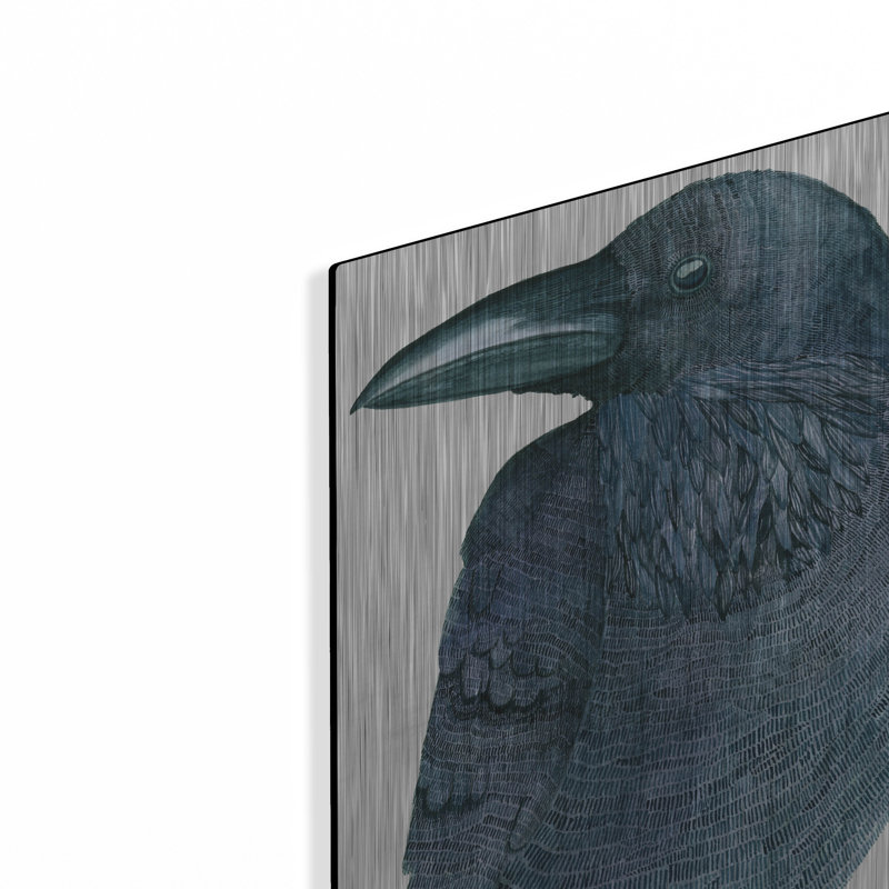 «Raven» par Jeannine Saylor, H 16 po x l 12 po