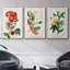 Turpin Tropical Botanicals VI, reproduction d'art encadrée sur toile 3 pièces-91891284-91891291