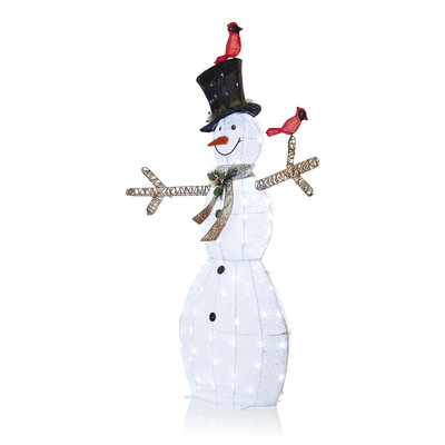 The Holiday Aisle® Snowman Lighted Display & Reviews | Wayfair