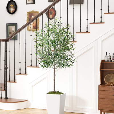 Olive artificielle 6 pi avec pot blanc et mousse, décoration d'intérieur