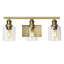 3-Light Dimmable Vanity Light
