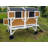 Ansel 11.47 Square Feet Chicken Coop with Nesting Box For Up To 8 Chickens