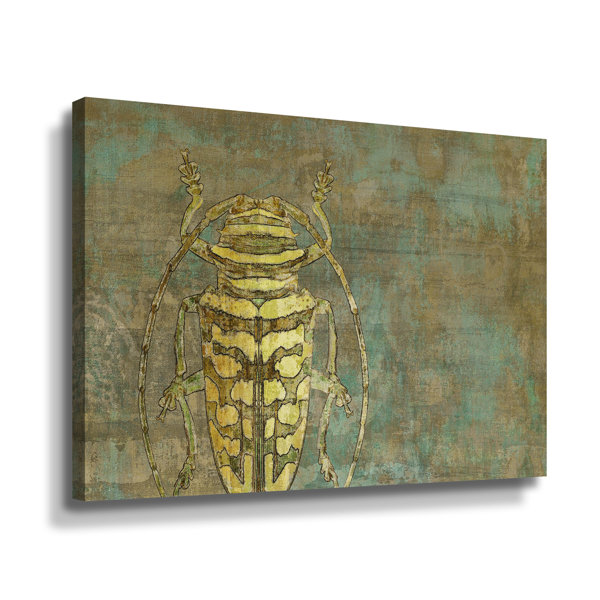 Gracie Oaks Beautiful Beetles I Framed On Canvas by Cora Niele Print | Wayfair Beautiful Beetles I Framed On Canvas by Cora Niele... 