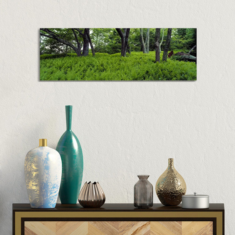 Trees In A Forest, North Carolina, USA - Wrapped Canvas Panoramic Print, 30.48 cm H x 91.44 cm W x 1.91 cm D