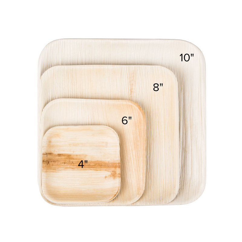Disposable Dessert Plates - Compostable