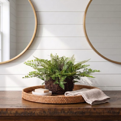 Mixed Fern with Twig and Moss Basket