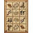 Difo Rug