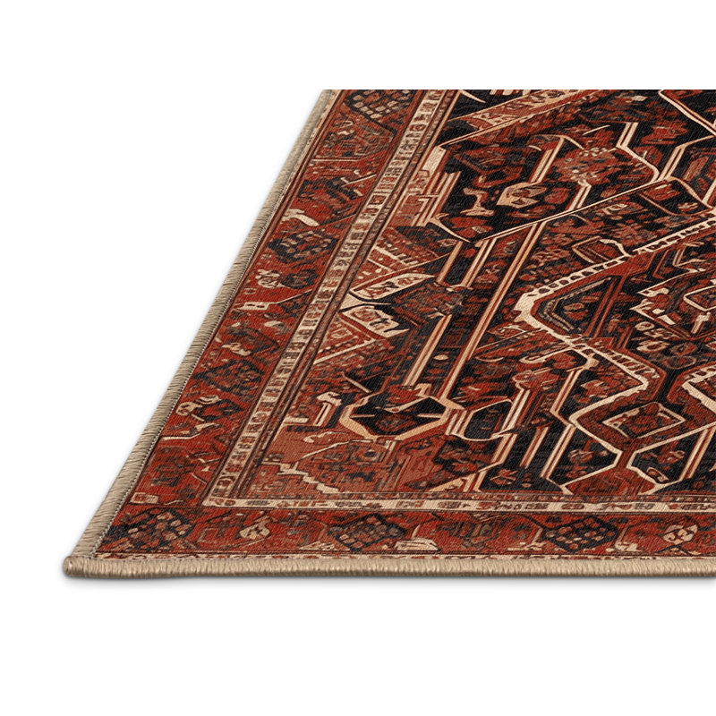 Tapis brun lavable à la machine, Rectangle 4 pi x 6 pi