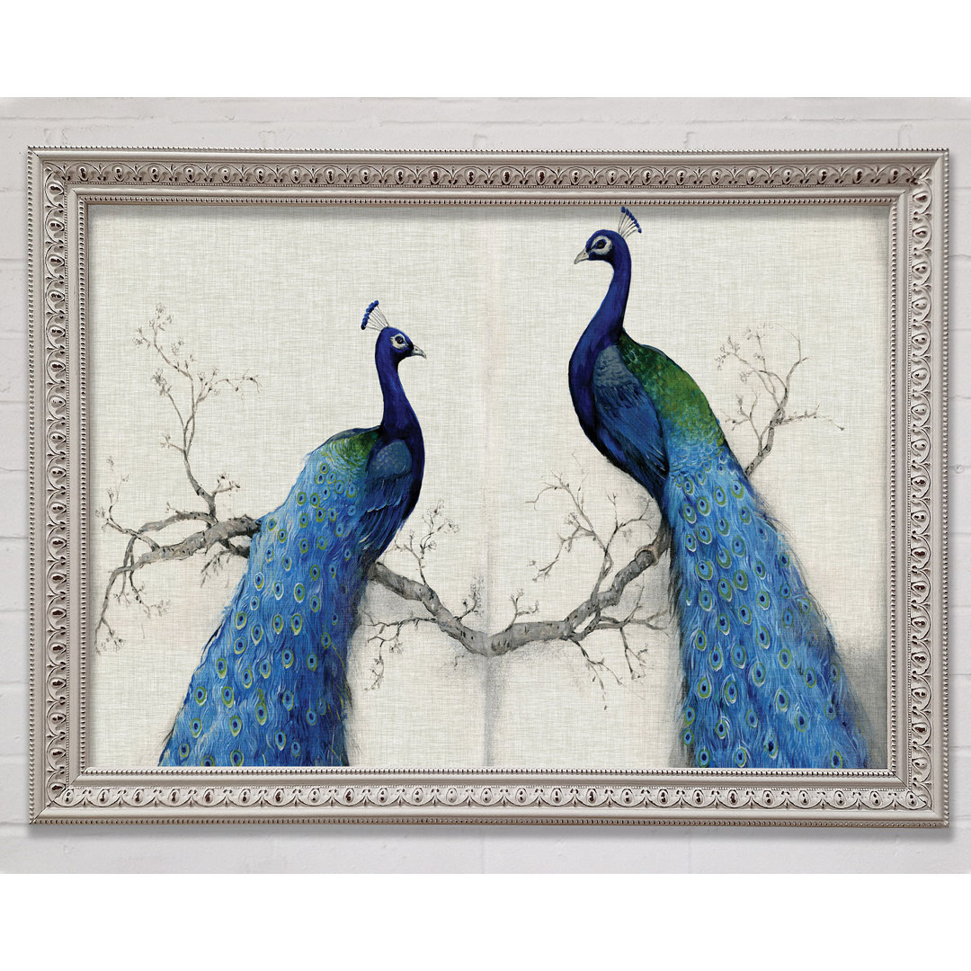 Gerahmtes Leinwandbild The Peacock Duo