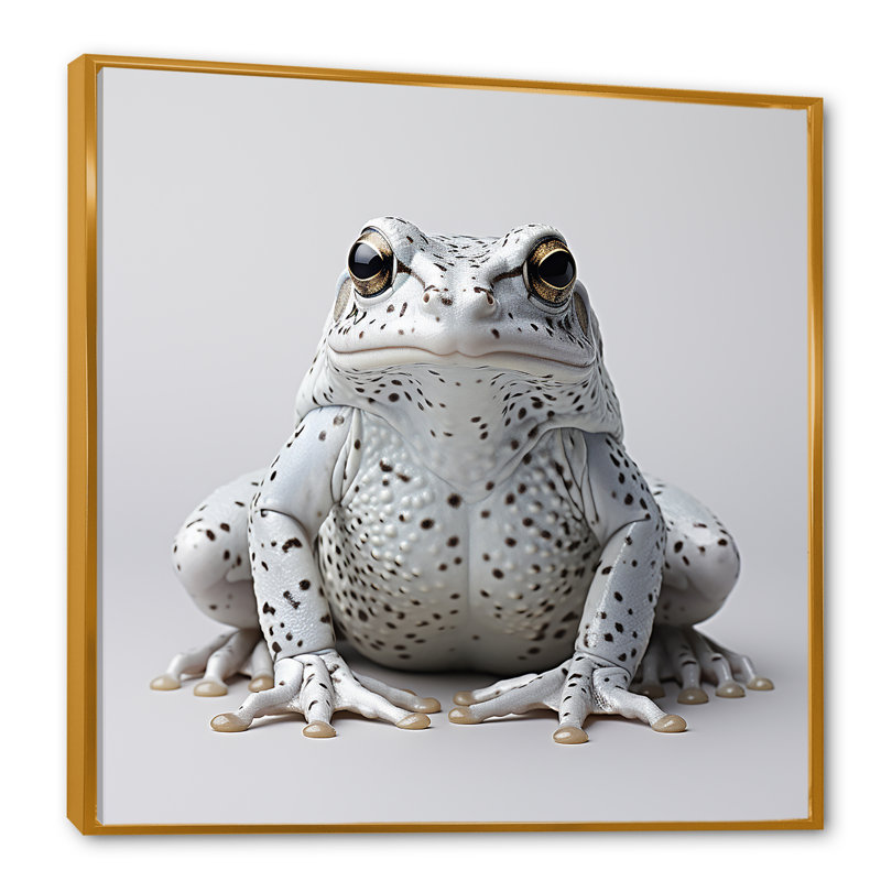 " Black And White Frog Harmony ", 24" H x 24" W x 1" D, Gold Floater Framed