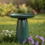 Baignoire pour oiseaux extérieure autoportante en métal Brytnee Gleeful Garden, résistante aux rayons UV - vert-308021031