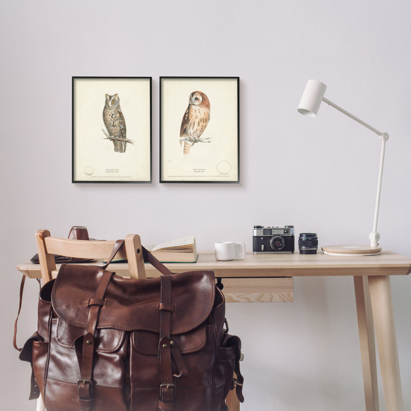 Owl Breeds, H 14 po x l 11 po x P 1,5 po, Giclée encadrée noir minuit