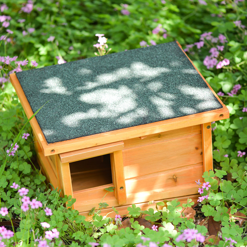 Teri Weather Resistant Small Animal Hutch