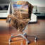 Coussin Schafer-665446461-665446433