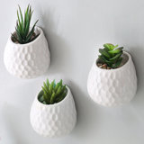 Maiorano Ceramic Wall Planter