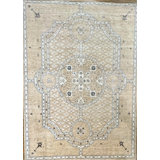 Proprietary Patterns Wool Oriental Area Rug in Holmes Beige