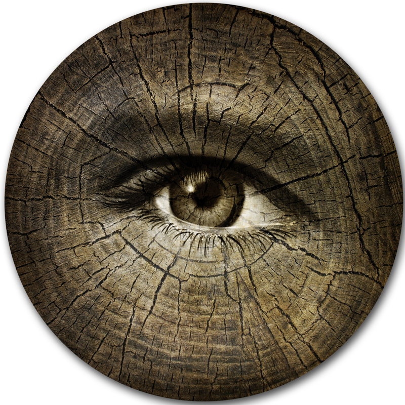 «Aging Eyes» - impression d'art graphique, H 23 po x l 23 po x P 1 po, Métal