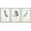 Heron, grue, oiseaux, décor nautique - ensemble de 3 reproductions d'art sur toile encadrées-99077875-99077877