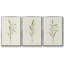 Olive Leaves I, ensemble de 3 toiles encadrées sur toile-616618755-616618756