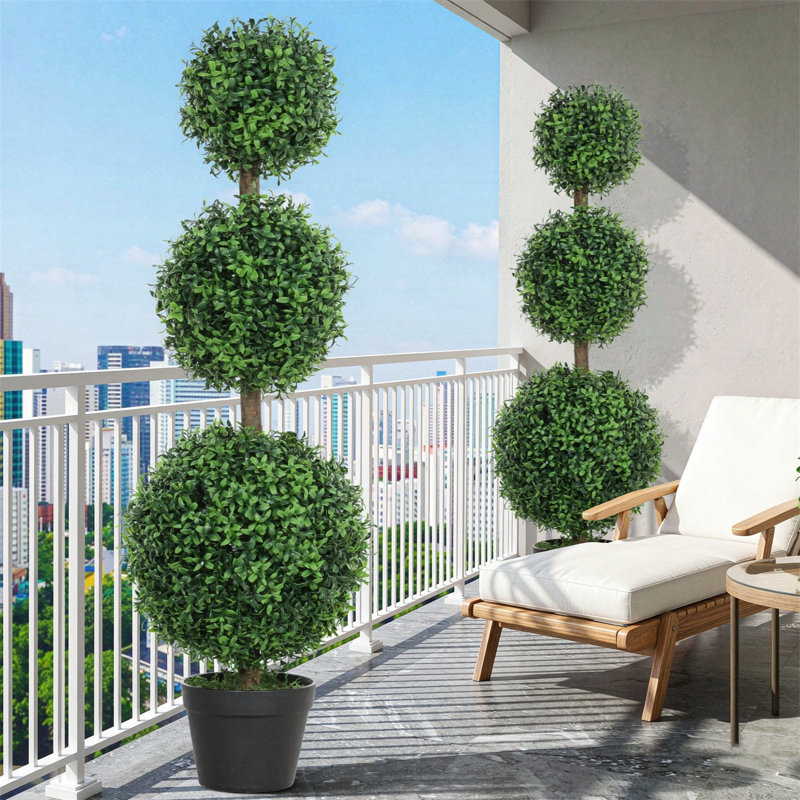 100 Plant