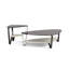 Dino Glass Top Coffee Table-57820462-59512312