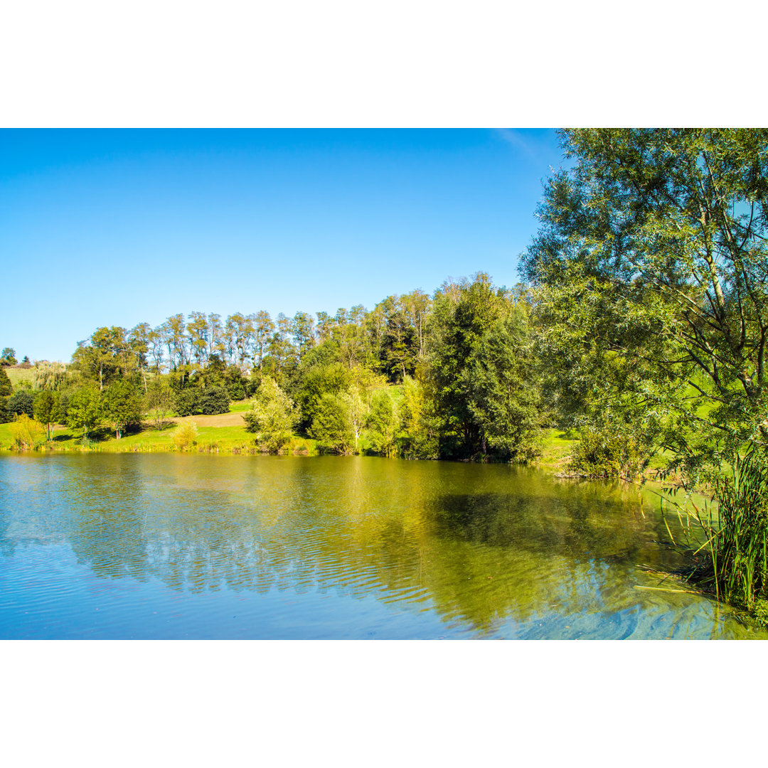 Standing Water Lake Treelined von Gregory_DUBUS - Leinwanddrucke