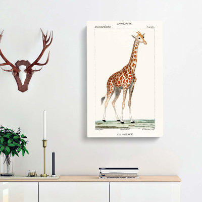 Giraffe by P.J.F. Turpin - Wrapped Canvas
