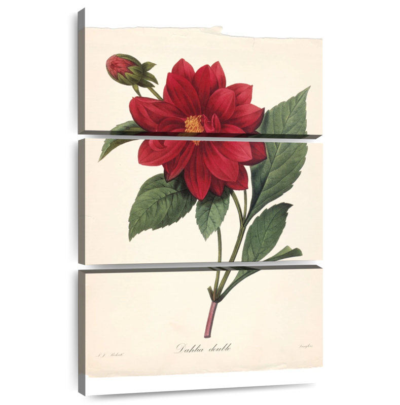 Harnek Red Botanical II, H 57 po x l 36 po