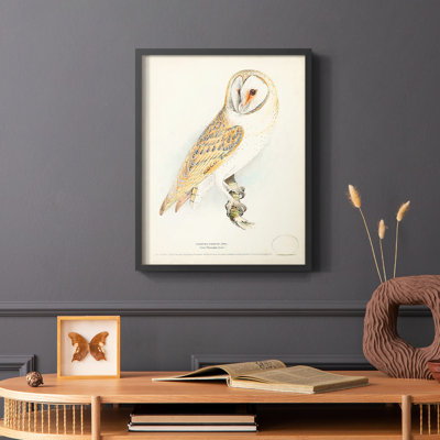 Barn Owl Framed Print - Solid Wood