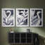 ANIMALS Series IV - Impression sur mesure encadrée de qualité supérieure - 3 pièces-515003830-515003825