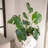 Chloie Self-Watering Plastic Indoor / Outdoor Pot Planter