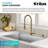 KRAUS Kitchen Soap and Lotion Dispenser in Spot-Free Brushed Brass-130461395