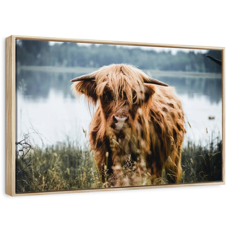 Vache Lakeside Highland, Cadre flottant en bois naturel, 43 po x 29 po